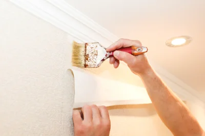 Pose de papier peint à Vinzier — revêtements muraux et toiles de verre
